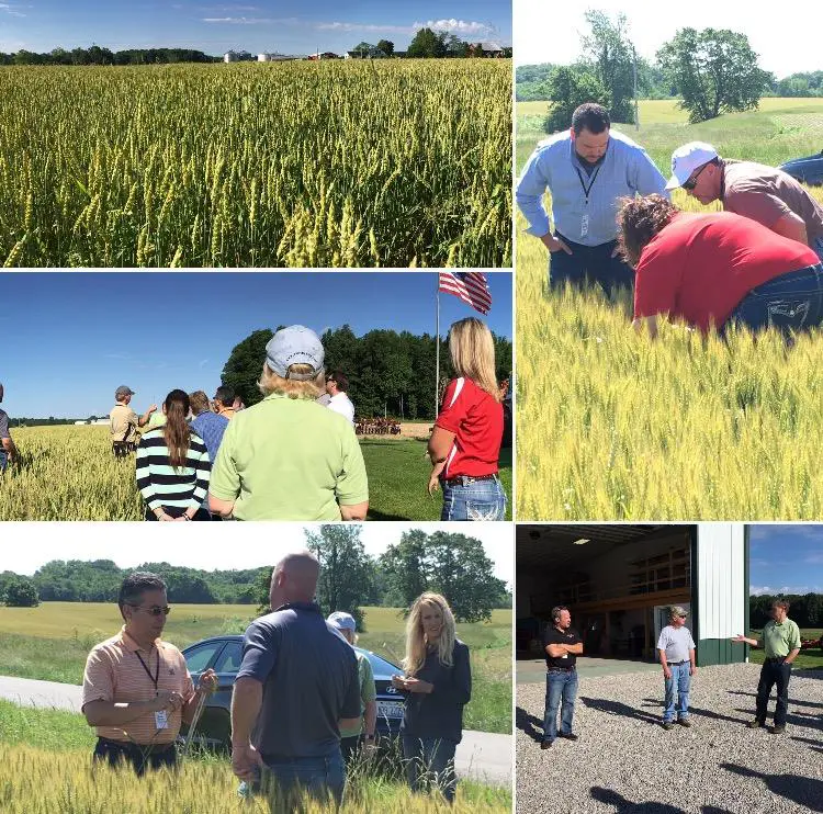 West Harrison, IN Crop Tour