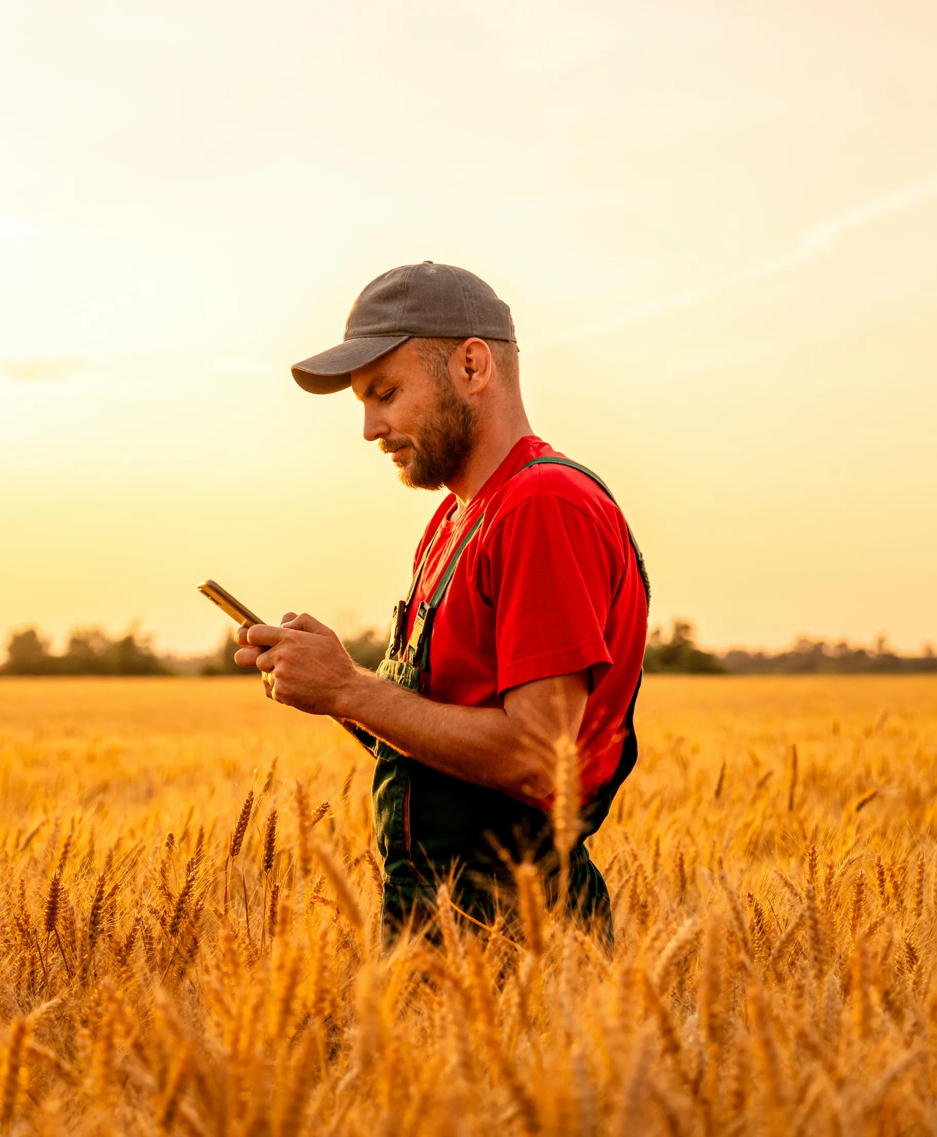 Farmer in Field