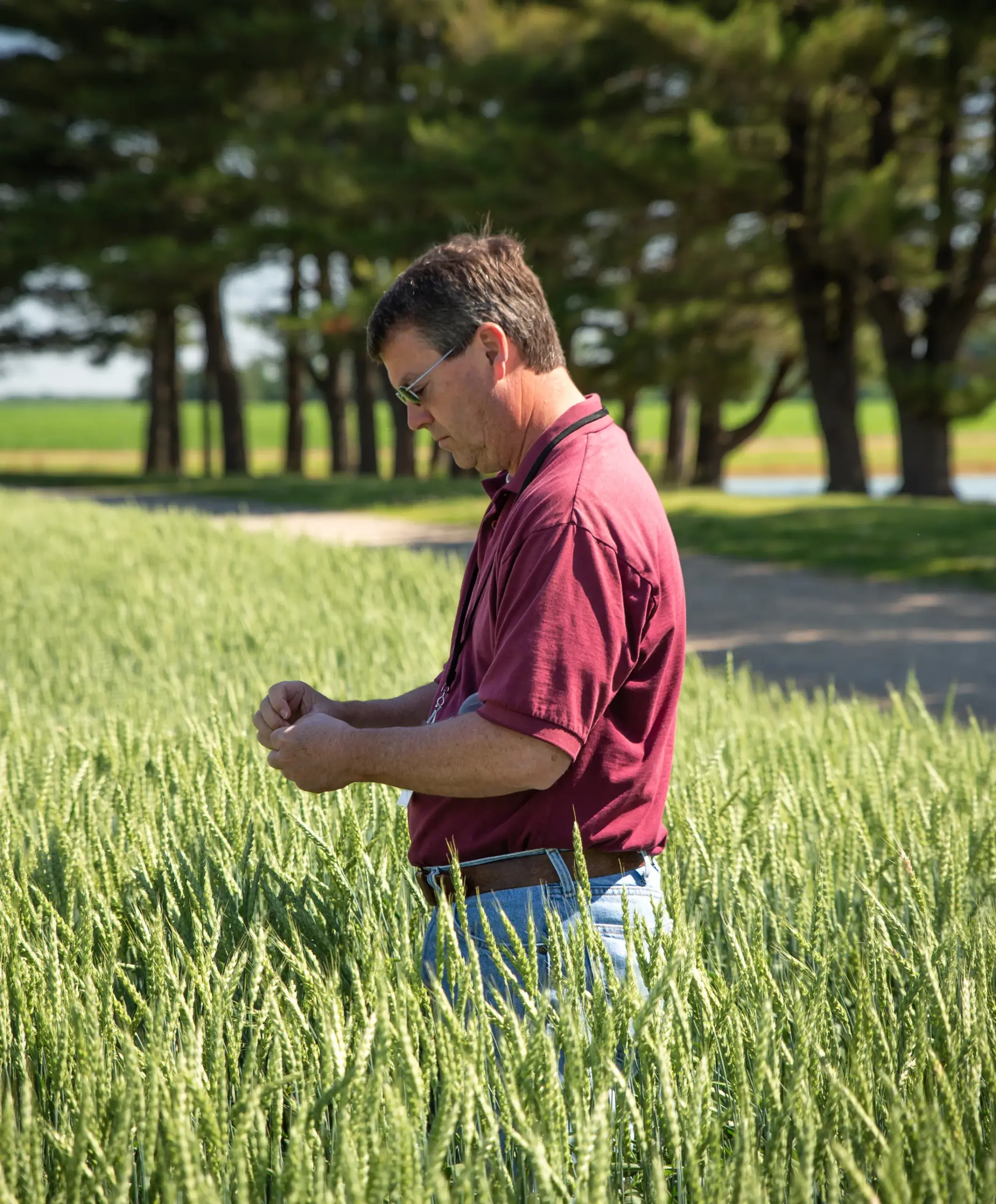 Farmer in field